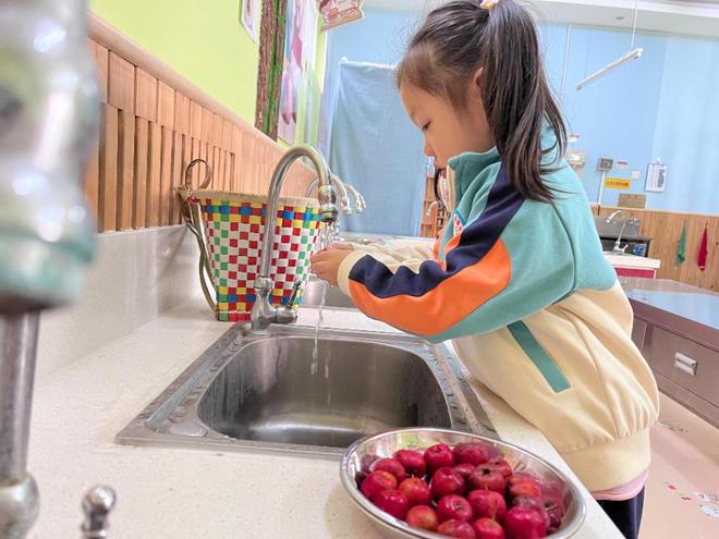 采摘山楂历下区未来嘉幼教集团孩子们留住最美M6 米乐的秋天(图3)