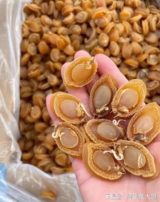 中国8大M6 米乐常见干货种类你还知道哪些食物可以制成干货呢？(图10)
