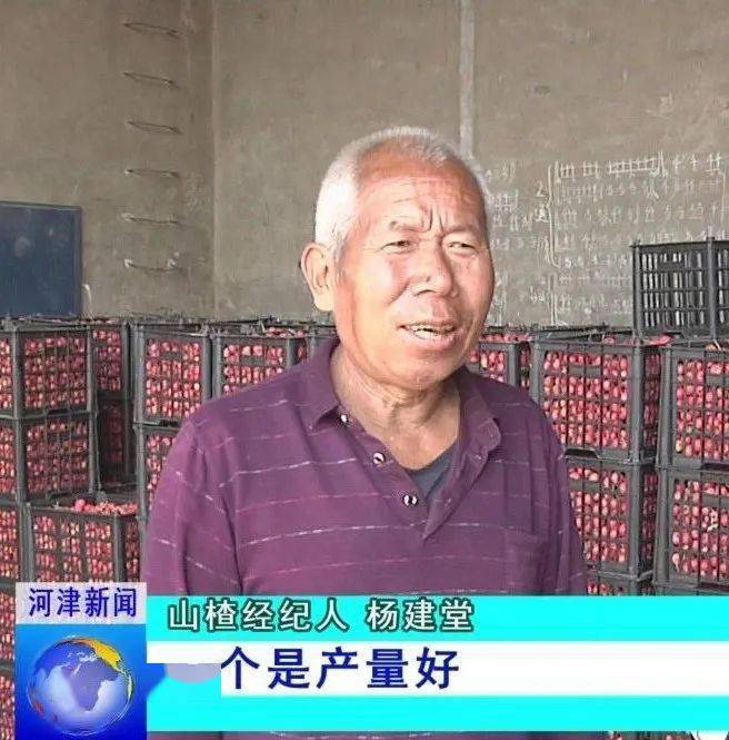 【庆丰收 迎小康】南里村：千亩山楂丰收 果农开心M6 米乐忙采摘(图4)