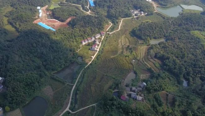 米乐M6 M6米乐漕河镇大枫树村：山楂树开出“致富花”(图1)