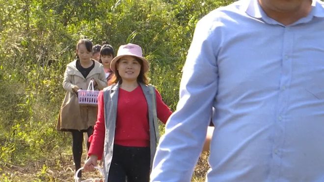 米乐M6 M6米乐漕河镇大枫树村：山楂树开出“致富花”(图9)